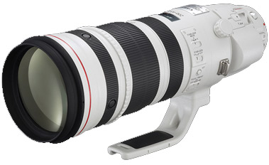 Canon EF 200-400mm f/4L IS USM Extender 1.4x